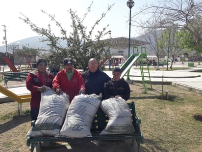 El producto se aplica en todos los árboles y plantas de las áreas verdes y también al pasto, por el método de espolvoreado y después se aplica el riego.  (ESPECIAL)