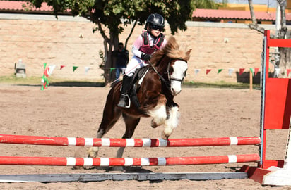 Decenas de jinetes laguneros pusieron en marcha durante esta mañana y tarde el calendario de salto ecuestre en la región, al disputar el primer día de competencia en el torneo que tiene como sede el Club Hípico Las Brisas. (JESÚS GALINDO)