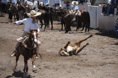 Cada una de las suertes de la charrería, serán ejecutadas esta noche ante los aficionados de la Comarca Lagunera.