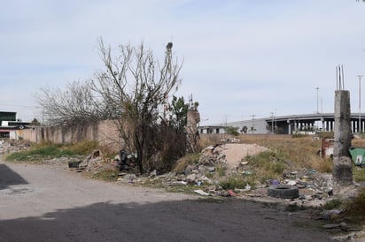 Habitantes de la colonia Primavera piden que se sancione a quienes tiran basura en las calles; además, señalan la necesidad de que se pavimenten las calles. (EL SIGLO DE TORREÓN)