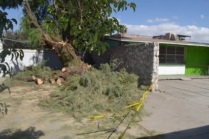 Esta es la zona que se encuentra acordonada en la escuela primaria Nazario Ortiz Garza. (ANGÉLICA SANDOVAL)