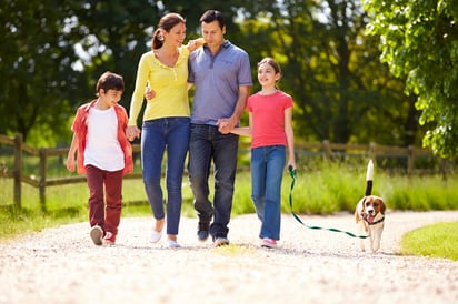 A consecuencia de los ataques que hay contra los animales y entre éstos, es importante saber que existen leyes dirigidas a las obligaciones que deben cumplir los propietarios de mascotas para su seguridad y bienestar. (ARCHIVO)