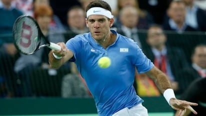 El argentino Juan Martín del Potro confirmó que participará en el Abierto Mexicano de Tenis.