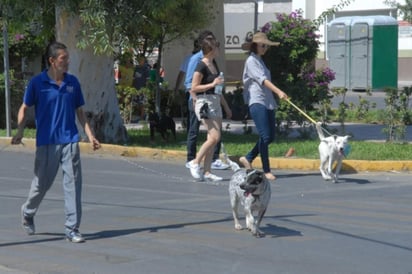 Lugares de La Laguna donde podrás pasear a tu mascota. (ARCHIVO)