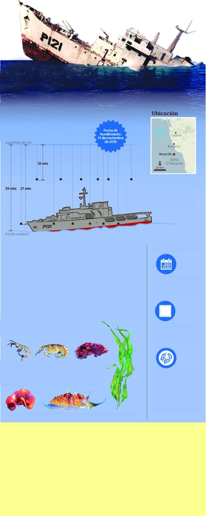 Arrecifes artificiales: un mar de posibilidades