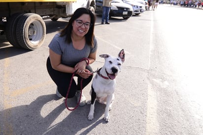 Evita un golpe de calor a tus mascotas