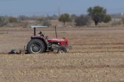 Esperan que pronto baje el recurso a los productores que fueron afectados el año pasado por sequía y heladas, pues se tuvieron que realizar distintos procedimientos para lograrlo. (EL SIGLO DE TORREÓN)