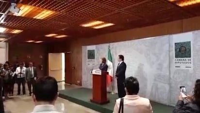 El coordinador parlamentario del grupo mayoritario de Morena en la Cámara de Diputados, Mario Delgado y la vicecoordinadora de esta fracción, Tatiana Clouthier, presentaron una iniciativa para reducir en 50% el gasto ordinario que reciben todos los partidos políticos. (ESPECIAL)