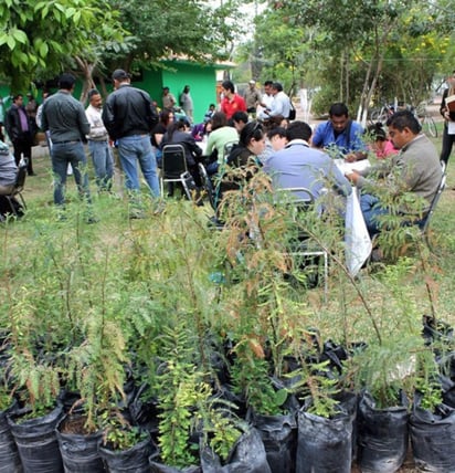 El evento se realizará este próximo 17 de marzo en el Vivero Forestal Lerdo en un horario de 10:00 a 18:00 horas. (EL SIGLO DE TORREÓN)