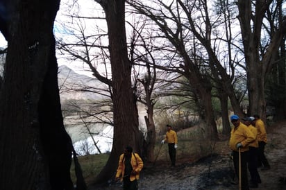 Se han suscitado más de 20 incendios en 4 meses en el Parque Estatal Cañón de Fernández, que es un Área Natural Protegida, por lo cual esperan pronto tomar medidas más drásticas ante quemas. (EL SIGLO DE TORREÓN)