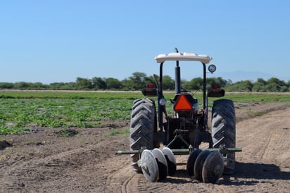 En el marco del inicio del ciclo agrícola en la  región, la totalidad de las tierras ya están preparadas. (EL SIGLO DE TORREÓN)