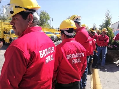 Los dueños de predios en los bosques están obligados a colaborar con las autoridades para combatir los incendios.