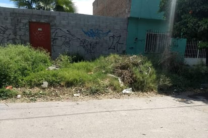 Hay acumulación de basura, maleza y ramas desde hace mucho tiempo. (EL SIGLO DE TORREÓN)