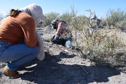 Según se comentó, es un procedimiento que se está haciendo por regiones y ya acudieron a Saltillo, ahora toca el turno a La Laguna y las revisiones que se hacen son de las denuncias que se tienen de desapariciones forzadas de Tamaulipas y Sinaloa. (ARCHIVO)