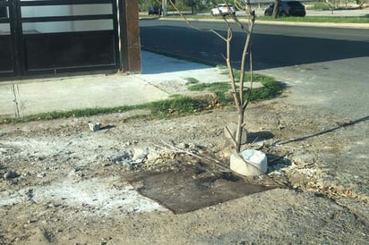 Los habitantes del lugar exigen a las autoridades que reparen cuanto antes el pavimento. (EL SIGLO DE TORREÓN)