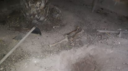 Localizan restos humanos en el patio de una vivienda de Lerdo; los encontró el joven que rentaba el lugar.