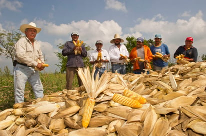 Para los empresarios del sector agropeuario de La Laguna, es muy preocupante que el Gobierno eliminará primero los censos agropecuarios y después ProMéxico. (ARCHIVO)