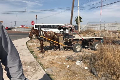 Rescatan a dos caballos que fueron abandonados luego de que sus dueños fueron sorprendidos arrojando escombros. (EL SIGLO DE TORREÓN)