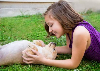 El lenguaje corporal nos dice mucho de cómo se sienten los perros, sobretodo cuando quieren ser mimados. (ARCHIVO)
