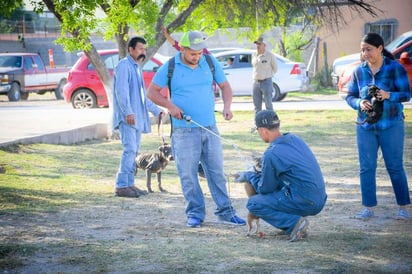 Se ofrecieron servicios como baño medicado contra pulgas y garrapatas, vacunación y desparasitación para mascotas. 