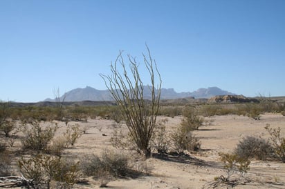 Por lo menos la mitad de la superficie de la República Mexicana está compuesta de zonas áridas de ahí la importancia de cosechar el agua para beneficiar la productividad agropecuaria de estas importantes zonas. (ESPECIAL)