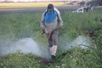 Las dos agencias sanitarias del Gobierno de México establecerán mesas de trabajo con otras instituciones para resolver, de manera conjunta y ágil, diversos temas en que las dos instituciones convergen. (ARCHIVO) 