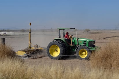 No han detectado afectaciones en las comunidades por uso de pesticidas, pero no descartan estudios. (EL SIGLO DE TORREÓN)