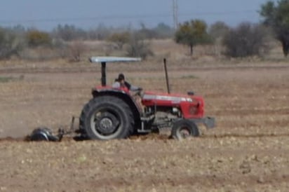 Campesinos de San Pedro piden que se organicen para movilizarse ante la nula atención del Gobierno de la República. (EL SIGLO DE TORREÓN)