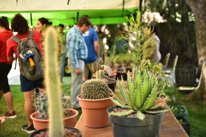 Entre las plantas que más llamaron la atención se encontraban las del desierto, agaves, cactus y suculentas, entre otras especies.