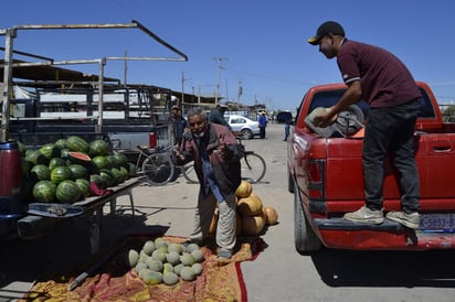 El producto se vendió como “pan caliente”, pues a su llegada ya tenía comprador. El melón más grande lo compraron en 5 pesos el kilo, mientras que “la pachanga”, que es el más pequeño, en 350 pesos el bulto. (EL SIGLO DE TORREÓN)