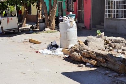 Hace más de una semana que no acuden los camiones recolectores. (EL SIGLO DE TORREÓN)