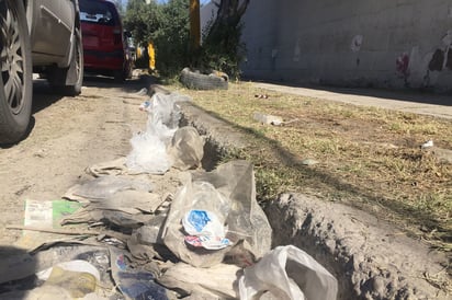 Basura en las calles