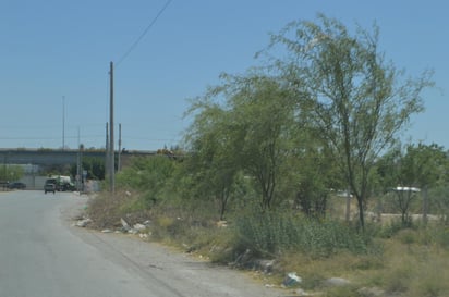 Informaron las autoridades que desde el pasado miércoles en la noche ingresó a territorio estatal un nuevo frente frío, lo que generó un aumento en la velocidad de los vientos, en el caso de la ciudad de Torreón, acompañados por tierra y otros residuos en el aire. (EL SIGLO DE TORREÓN)