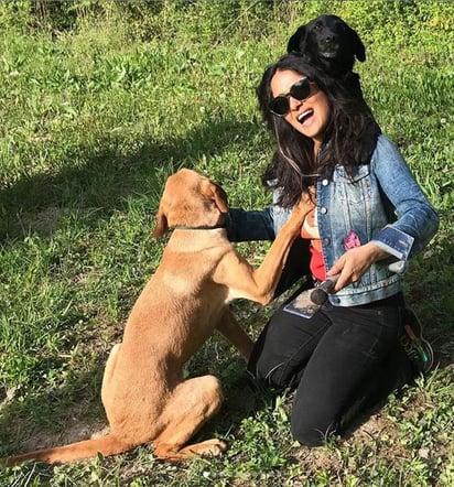 Paseo. La actriz y productora Salma Hayek busca trufas con ayuda de sus dos amigos peludos en su visita a Croacia. (ESPECIAL)