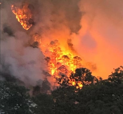 En tanto, por la cantidad de incendios registrados, la entidad ocupa el séptimo lugar a nivel nacional. (ARCHIVO)