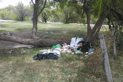 Autoridades ya trabajan en una estrategia de limpieza de la zona desde el arranque de la semana. (EL SIGLO DE TORREÓN)