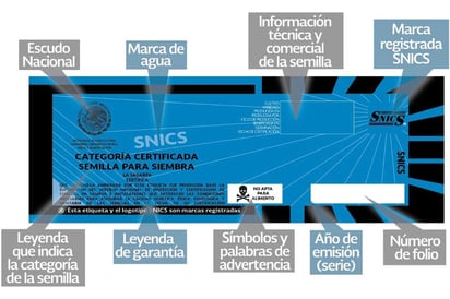 Para no ser víctima de semillas 'piratas', al adquirir este insumo, el agricultor debe verificar bien las características básicas. (EL SIGLO DE TORREÓN)