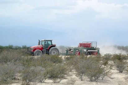 Buscan impulsar la producción de los sectores agropecuario, forestal, hidráulico y acuícola así como la agroindustria. (EL SIGLO DE TORREÓN)