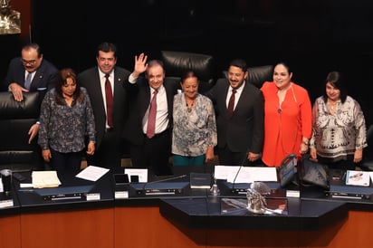 Al fijar postura del PVEM en materia de Estrategia Nacional de Seguridad Púbica, Camino Farjat llamó a las bancadas senatoriales a trabajar como equipo en contra de la inseguridad y la violencia. (EL UNIVERSAL)