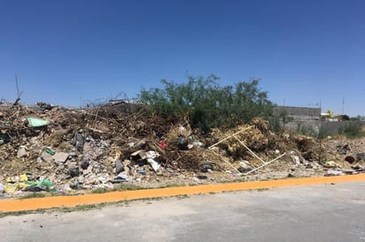 Piden a las autoridades correspondientes una vigilancia a diferentes horas del día para evitar la contaminación. (EL SIGLO DE TORREÓN)