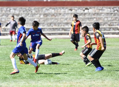 A través de los años, el Francés de la Laguna ha sido potencia dentro del futbol, por lo que este año buscará todos los campeonatos.