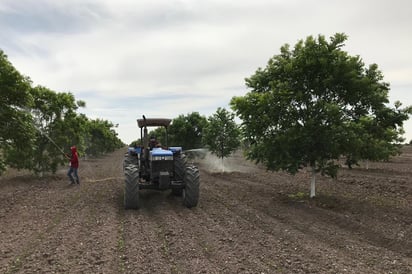 Sigue la incertidumbre en el campo de San Pedro, ya que aseguran que también para el programa de Concurrencia las reglas de operación no les favorecen.