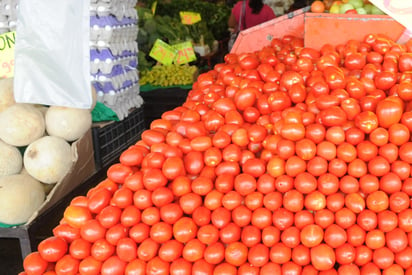 Manifestaron su total respaldo y acompañamiento a los productores de tomate del país para continuar con un mercado ordenado y el acceso de la hortaliza a Estados Unidos en condiciones que favorezcan a ambos países. (ARCHIVO)