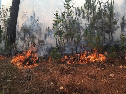 Descartan el riesgo a casas ubicadas a los alrededores del perímetro del incendio. (ARCHIVO)