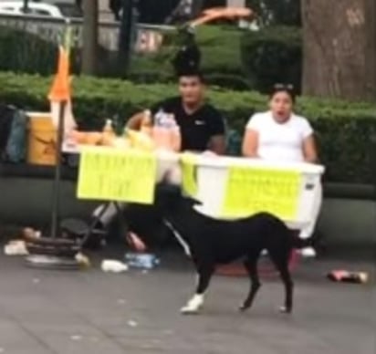 Perro derriba puesto de bebidas al montar una patineta