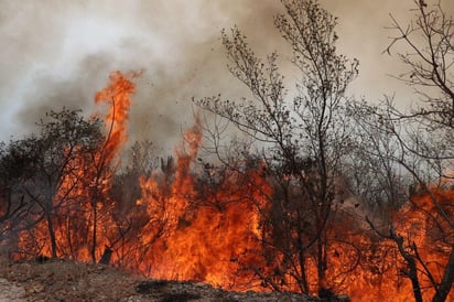 Elementos de la Secretaría de Seguridad Pública del Estado de Guanajuato continúan con labores para combatir el incendio. (ARCHIVO)