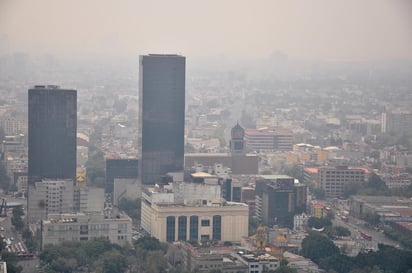 Precisó que las acciones para reducir la exposición al aire contaminado van desde evitar actividades al aire libre ni realizar actividades vigorosas como ejercicio intenso, el cual incrementa la dosis de contaminantes inhalados. (EL UNIVERSAL)
