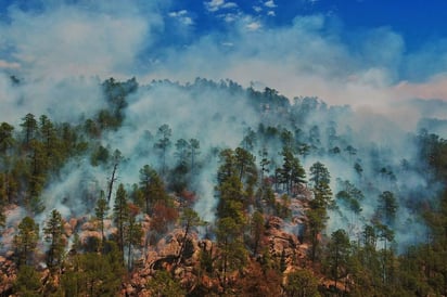 Vecinos de comunidades cercanas a Mapimí y San Pedro del Gallo enviaron fotografías del incendio. (EL SIGLO DE TORREÓN)