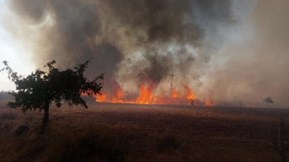 Se originó un fuerte incendio en el ejido San Juan de la Vaquería, en el municipio de Saltillo. 