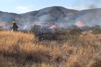 La Conafor menciona los riesgos que conlleva el combate de un incendio forestal, para que no intervengan personas sin preparación. (EL SIGLO DE TORREÓN)